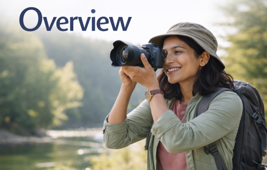 Overview