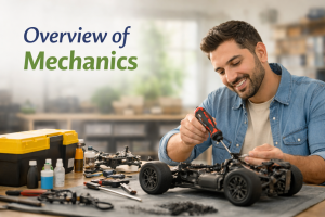 Overview of Indemnity Insurance Mechanics